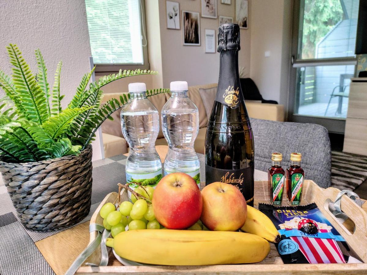 Relax Harrachov Apartments - Free Wellness Grotta Spa エクステリア 写真